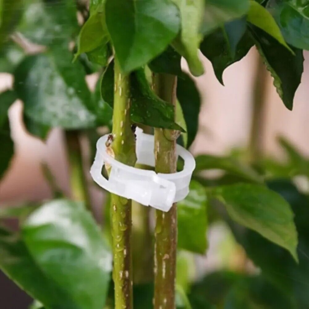 10/20 pcs Plastic Plant Support Clips Reusable Plant Vine Vegetables Fruits Rose