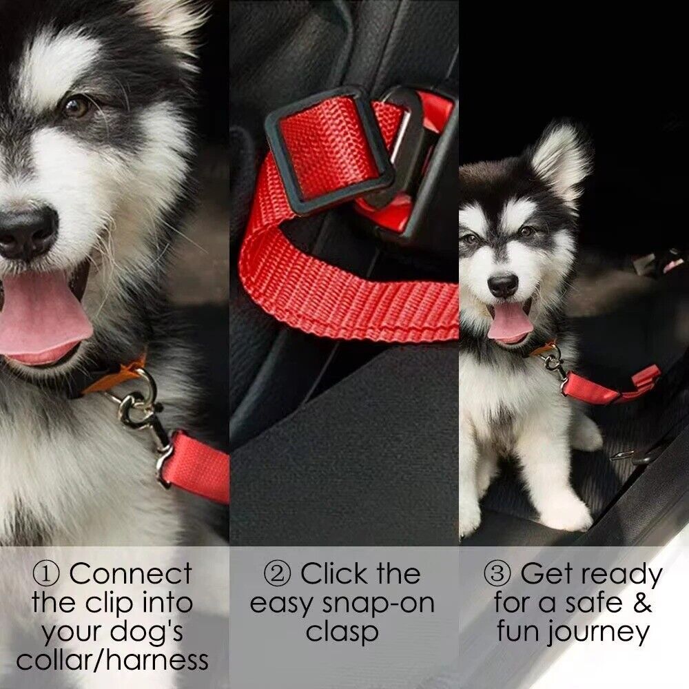 Dog Car Seat Belt Safety Protector Travel Pets Accessories Dog Leash