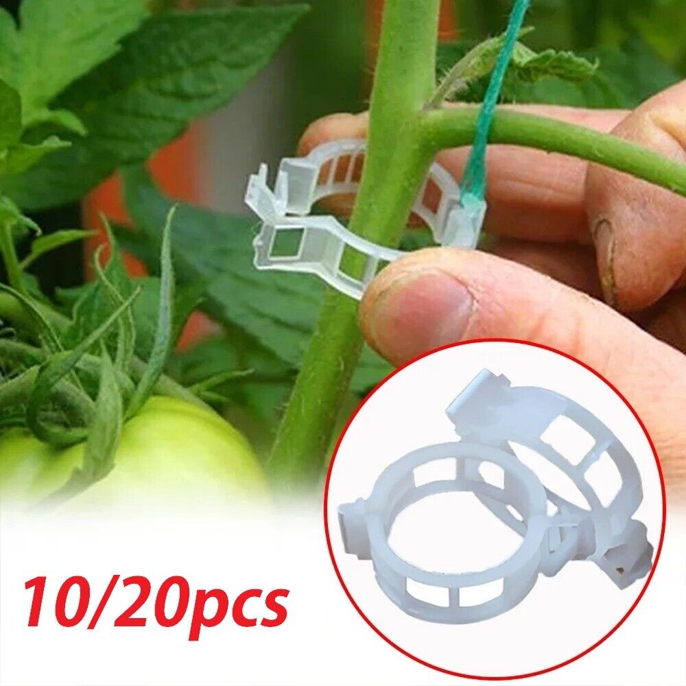 10/20 pcs Plastic Plant Support Clips Reusable Plant Vine Vegetables Fruits Rose