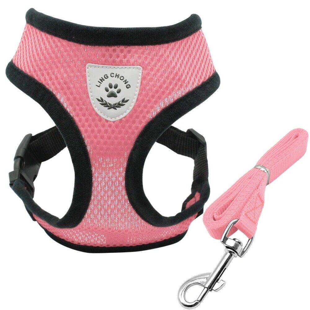 Mesh Cat Harness and Leash Breathable Reflective Kitten Cats Harnesses Small Dog